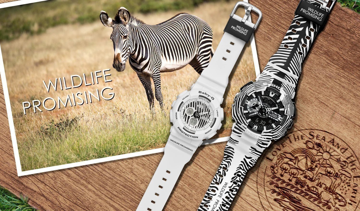 African Wildlife Preservation Organisation 'Wildlife Promising' meets G-Shock - CASIO Australia